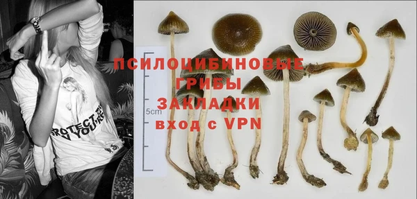 а пвп мука Пересвет